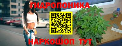 бошки Кинель
