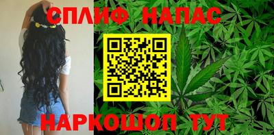 бошки Кинель